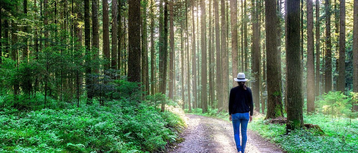 Walking program to lose weight