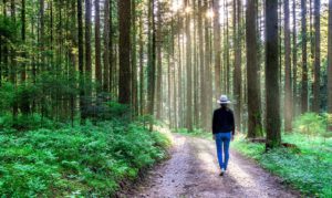 Walking program to lose weight
