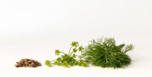 Dill seeds is one of the natural ways to reduce high blood pressure