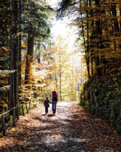 Out in the nature with the kids