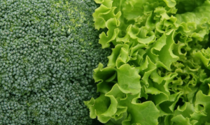 10 best alkaline foods