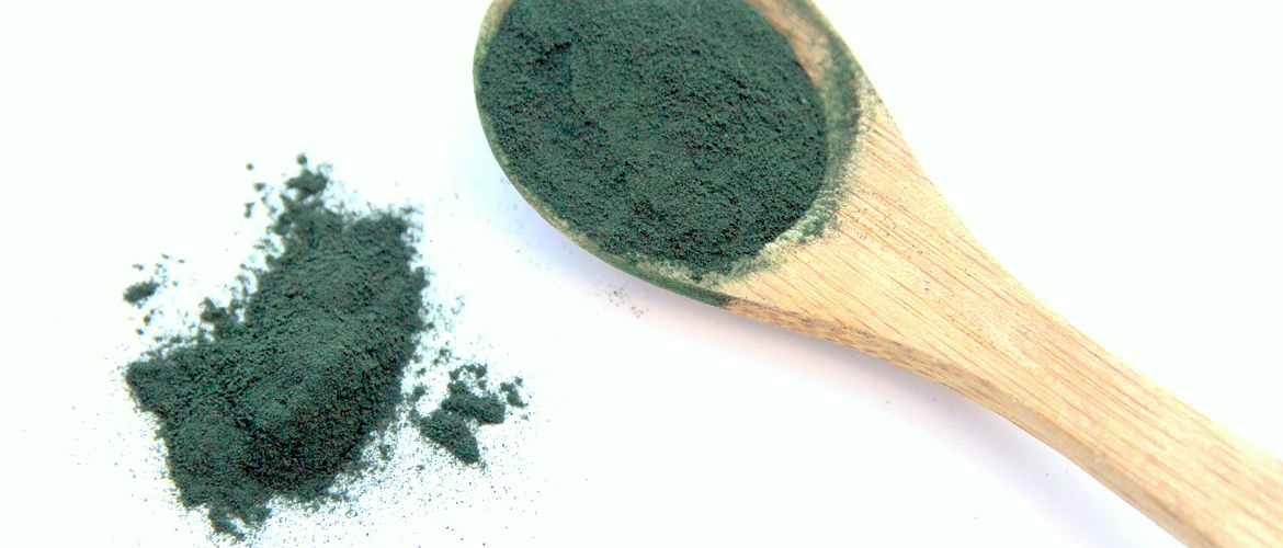Spirulina is a greenish-bluish micro alga