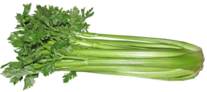 Celery contains a significant amount of vitamin C