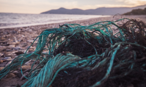 Adidas and Parley made shoes of recyclable plastic