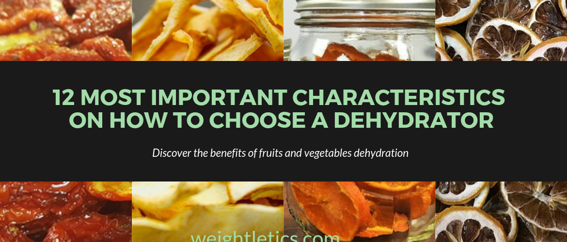 How to choose a dehydrator
