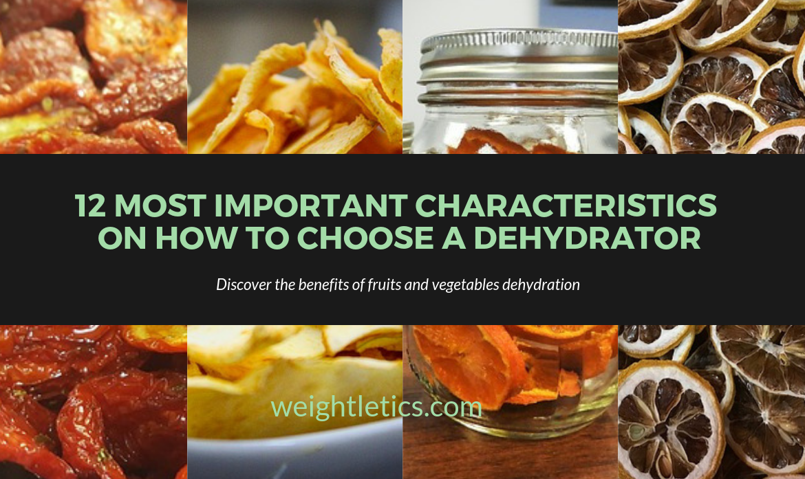 How to choose a dehydrator
