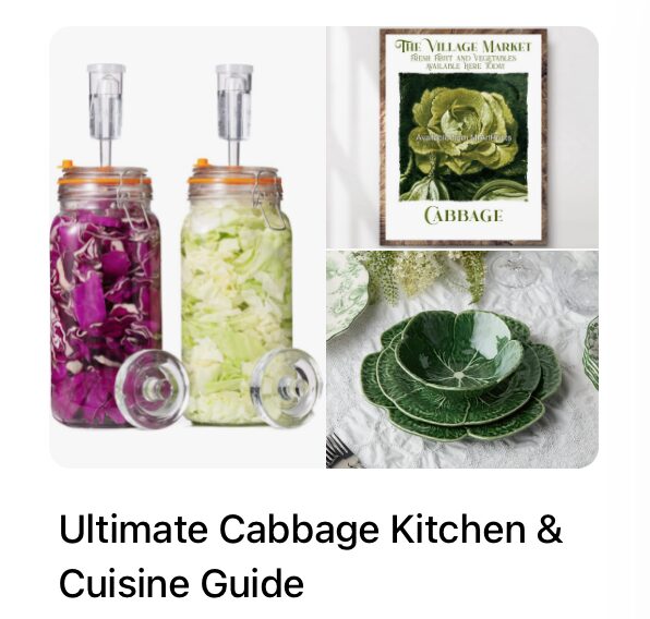 Shredded Cabbage Recipes 